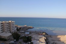 фото Jardin Dartemis