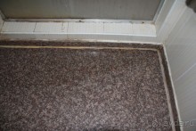 фото Jardin Dartemis