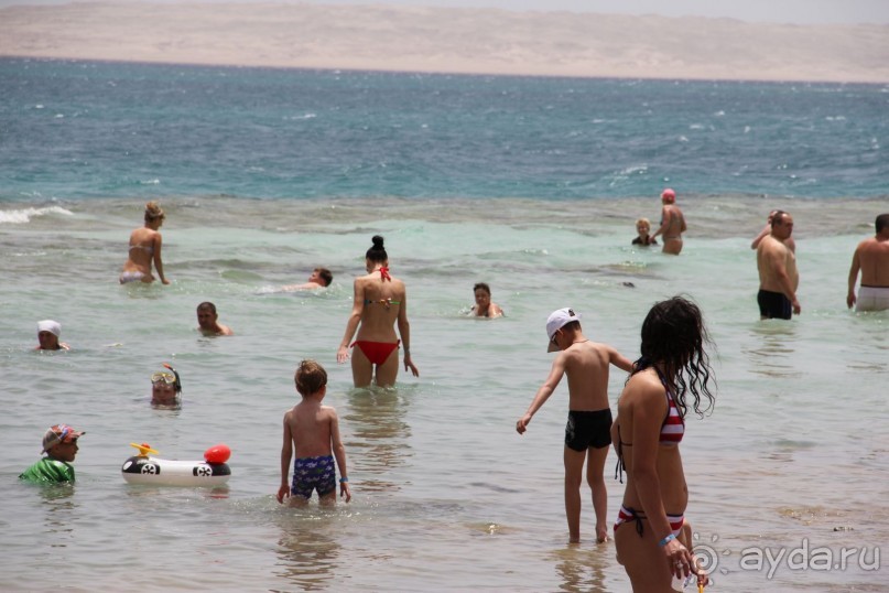 фото Jardin Dartemis