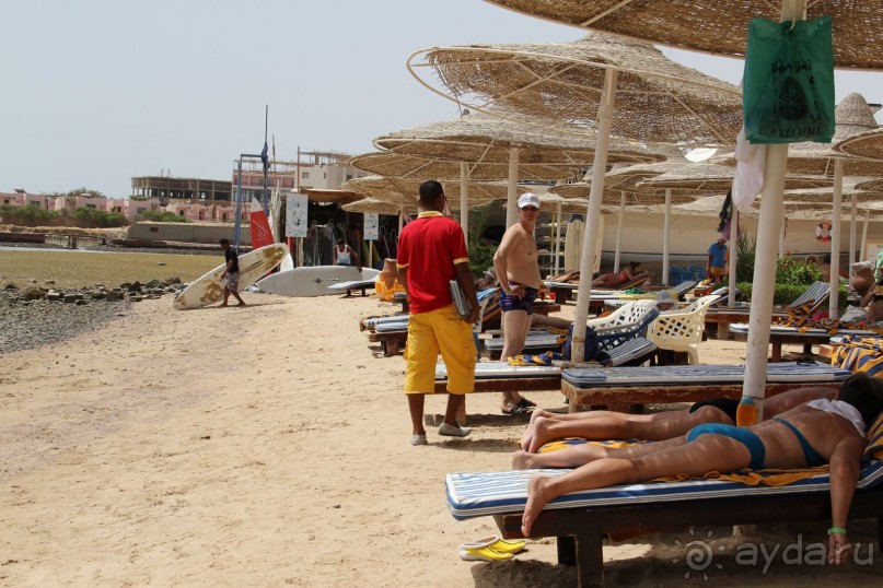 фото Jardin Dartemis