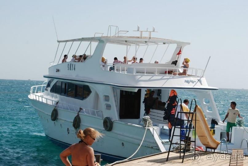 фото Jardin Dartemis