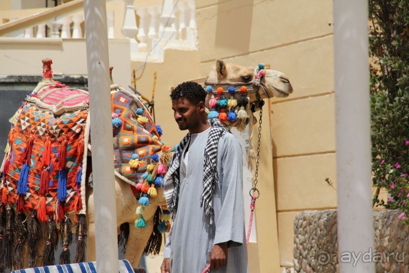фото Jardin Dartemis
