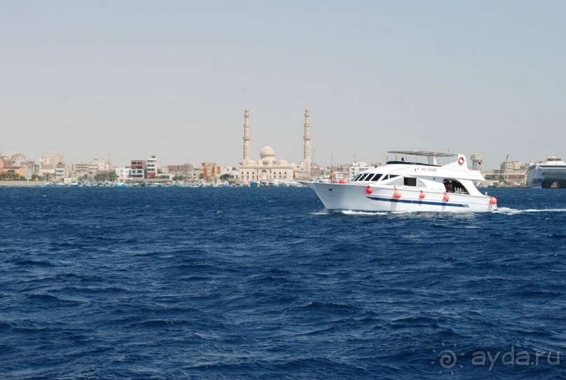 фото Jardin Dartemis