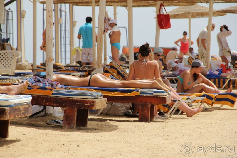 фото Jardin Dartemis