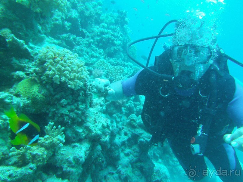 фото Jardin Dartemis