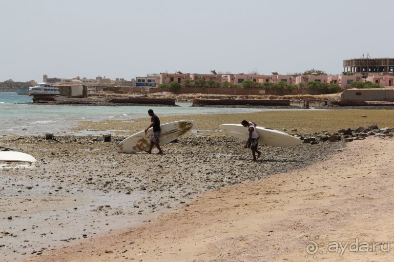 фото Jardin Dartemis