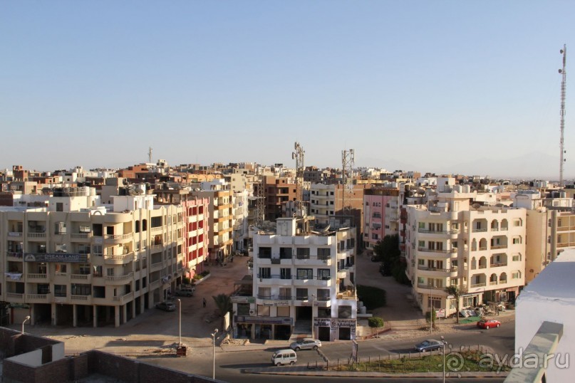 фото Jardin Dartemis