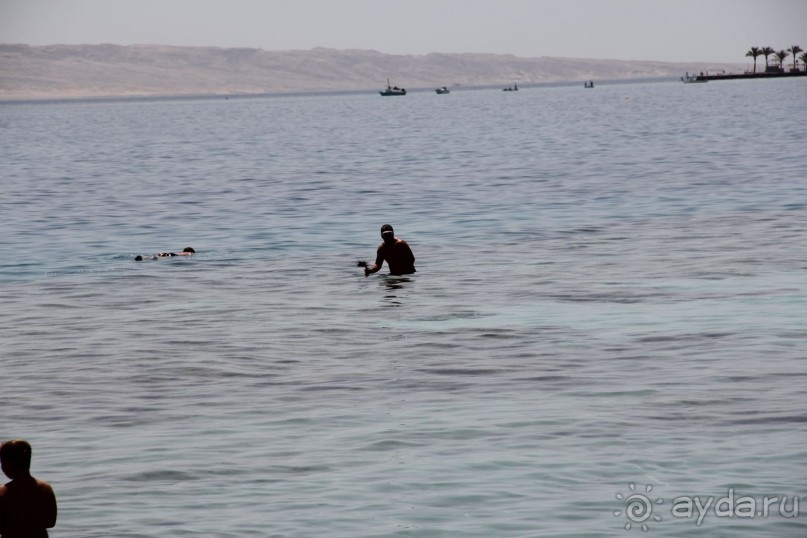 фото Jardin Dartemis