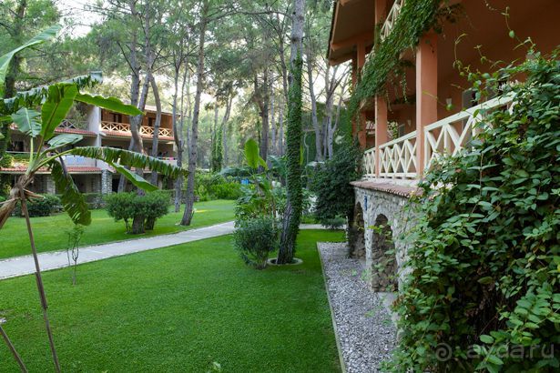 Прекрасный отель! Большой и просторный номер!