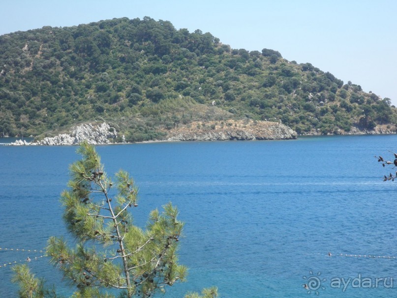 фото Club Hotel Diana