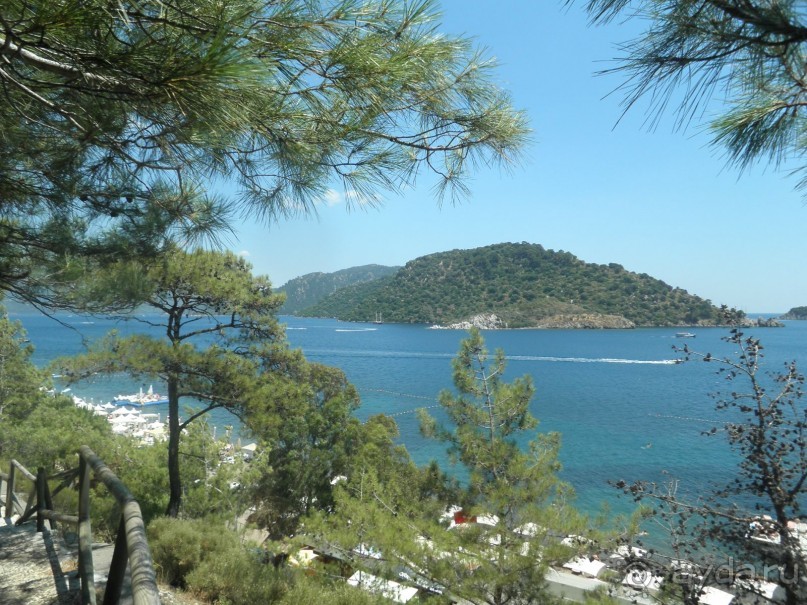 фото Club Hotel Diana