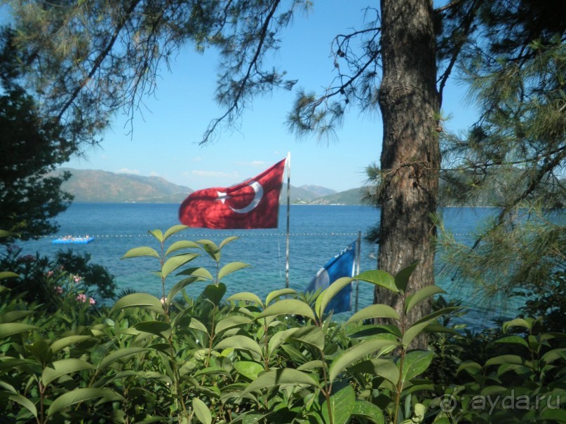 фото Club Hotel Diana