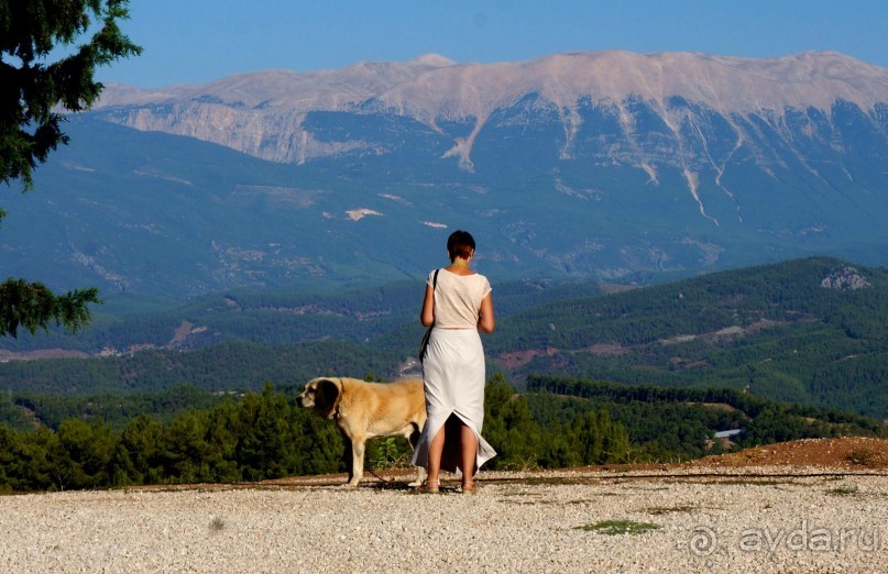 Остров Кекова и его окрестности.