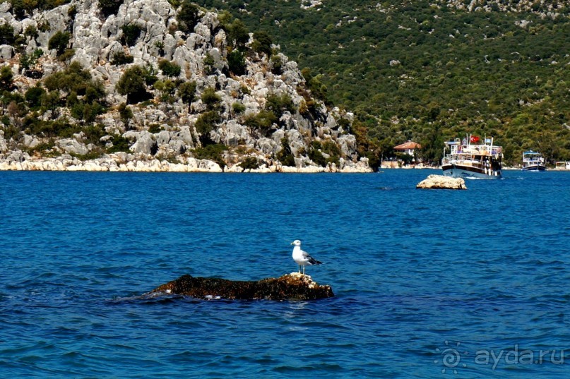 Остров Кекова и его окрестности.