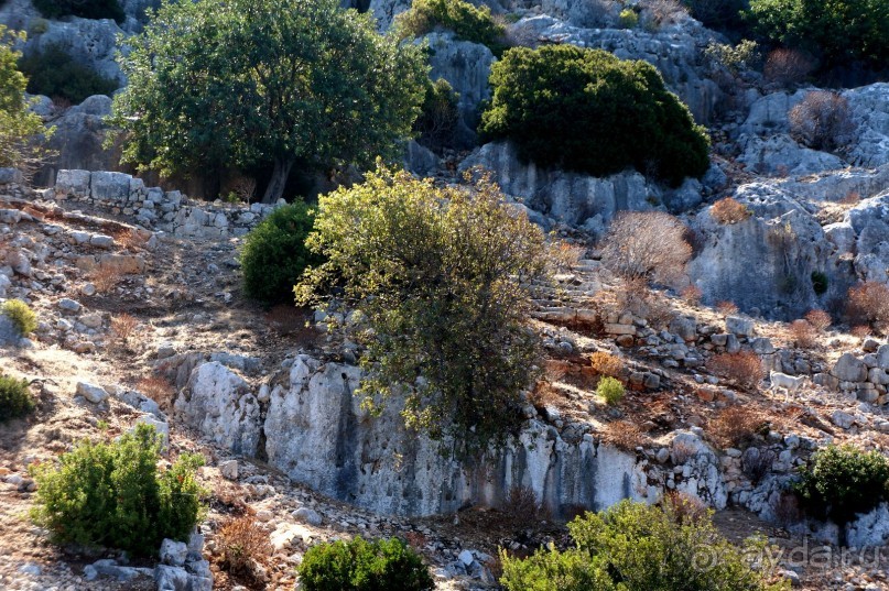 Остров Кекова и его окрестности.