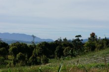 Восхождение    на    вулкан   Керинчи.  Для   любителей  экстрима.