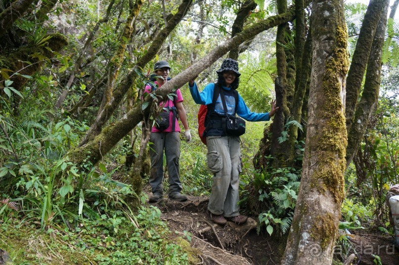 Восхождение    на    вулкан   Керинчи.  Для   любителей  экстрима.