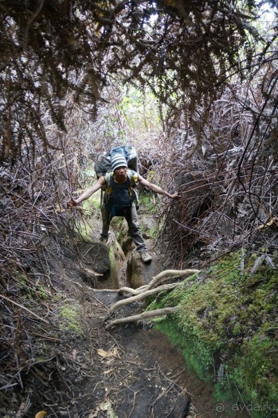 Восхождение    на    вулкан   Керинчи.  Для   любителей  экстрима.