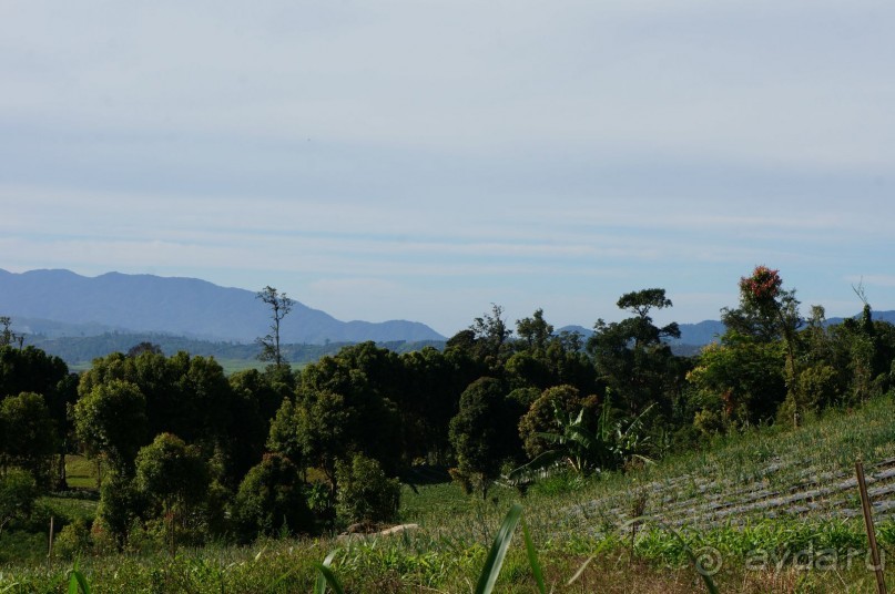 Восхождение    на    вулкан   Керинчи.  Для   любителей  экстрима.