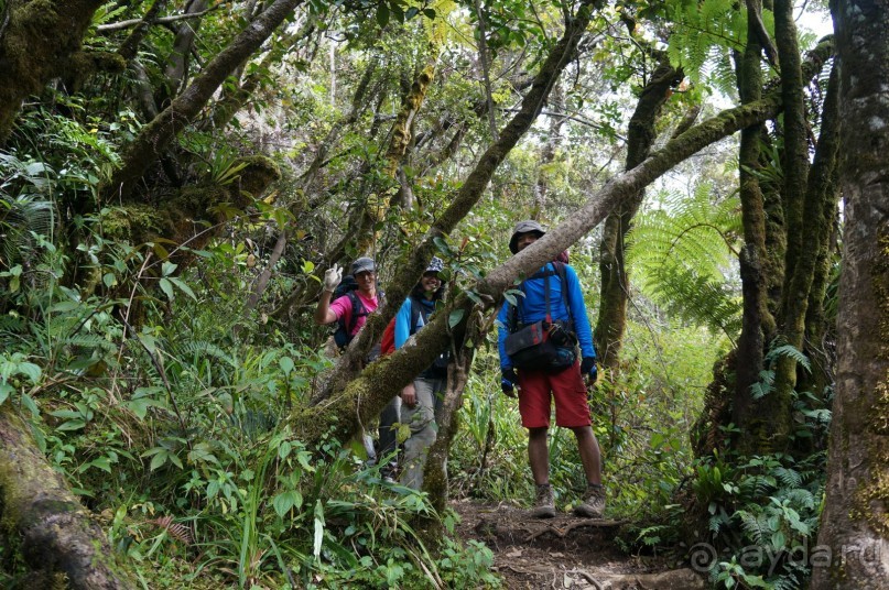 Восхождение    на    вулкан   Керинчи.  Для   любителей  экстрима.