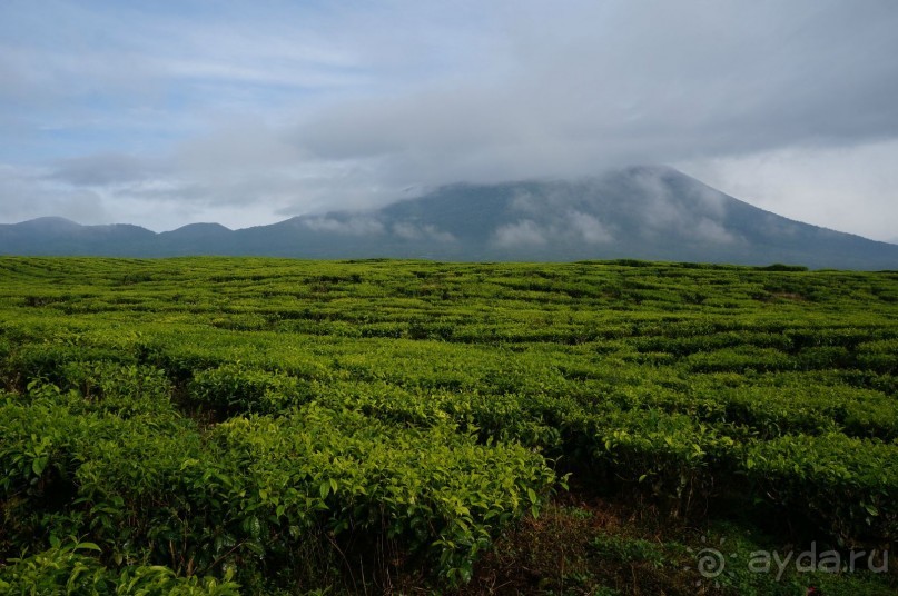 Восхождение    на    вулкан   Керинчи.  Для   любителей  экстрима.