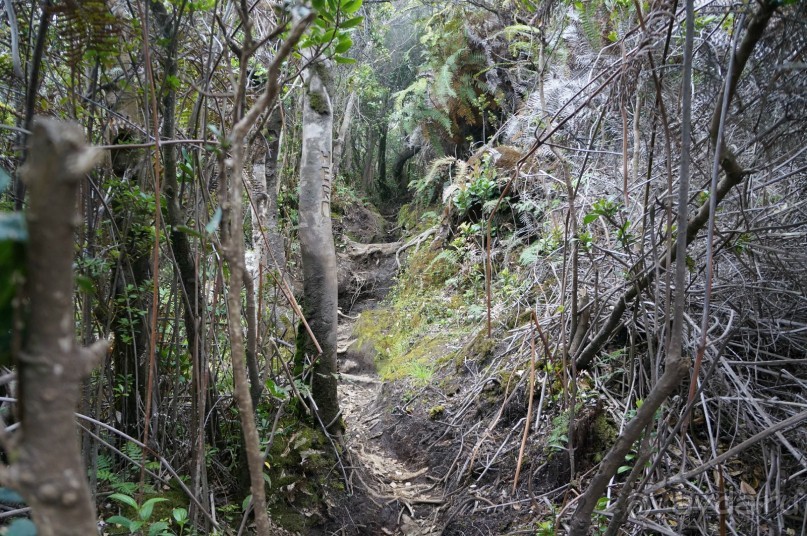 Восхождение    на    вулкан   Керинчи.  Для   любителей  экстрима.