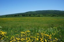 Итак,   в   путь.   Проезжаем   равнинную   часть   дороги.