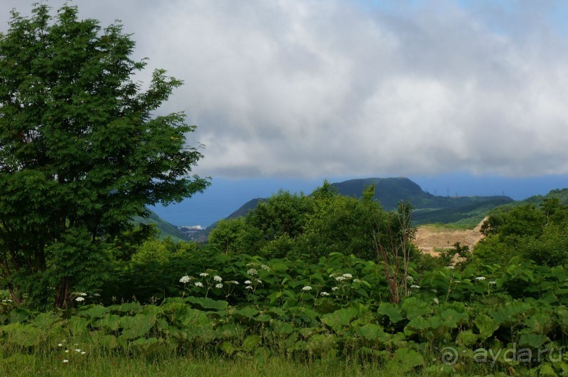 Низовья    реки   Лютоги.  Здесь   она   не   стеснена   сопками.