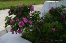 Село  Бамбучки.   Место   для   отдыха.