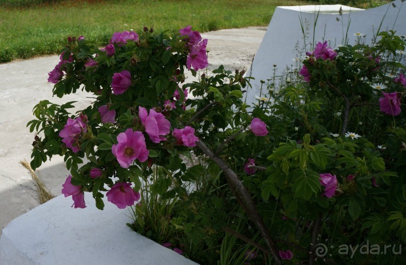 Село  Бамбучки.   Место   для   отдыха.