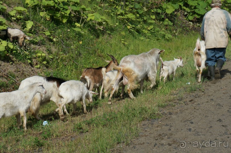Дорога   к   памяти.    Холмский   перевал.