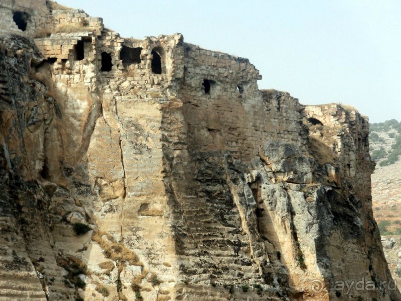 Красивые   берега  Евфрата.