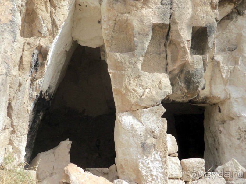 Красивые   берега  Евфрата.