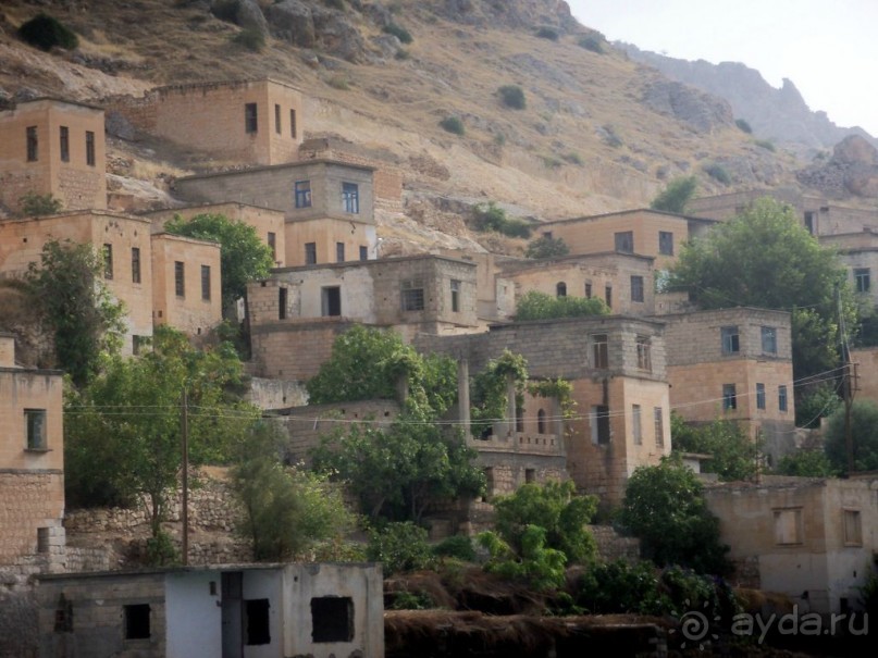 Красивые   берега  Евфрата.