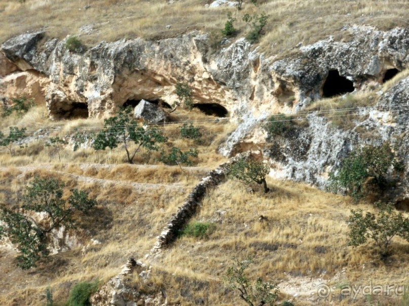 Красивые   берега  Евфрата.