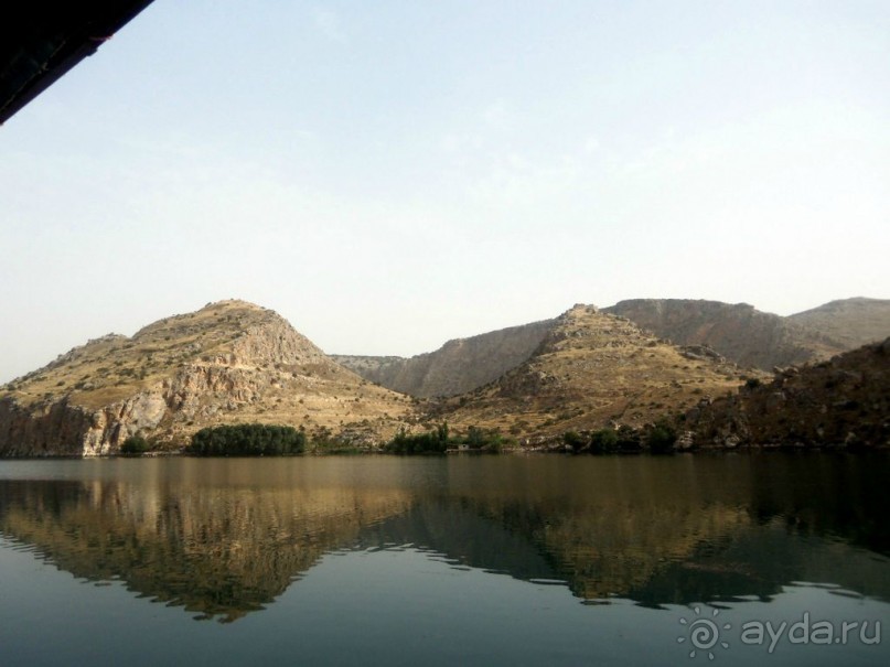 Красивые   берега  Евфрата.