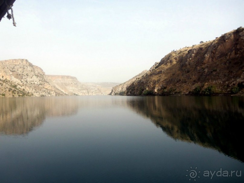 Красивые   берега  Евфрата.