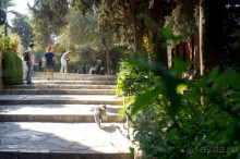 Альбом отзыва "Если вы  поехали в Иерусалим..."