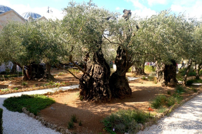 Если вы  поехали в Иерусалим...