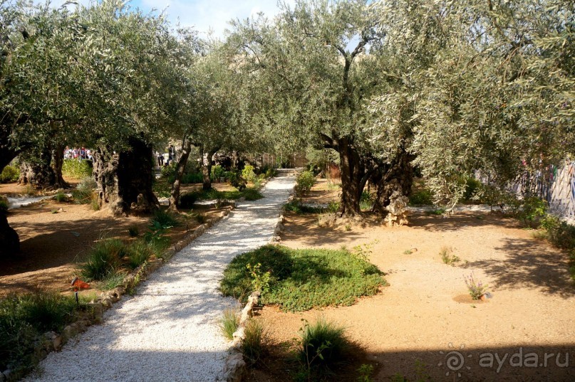 Если вы  поехали в Иерусалим...