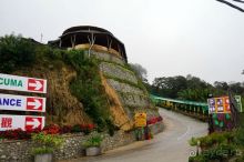 Чай,  клубника,  моховой  лес  и  остальное...