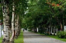 Южно -  Сахалинск  вчера  и  сегодня.