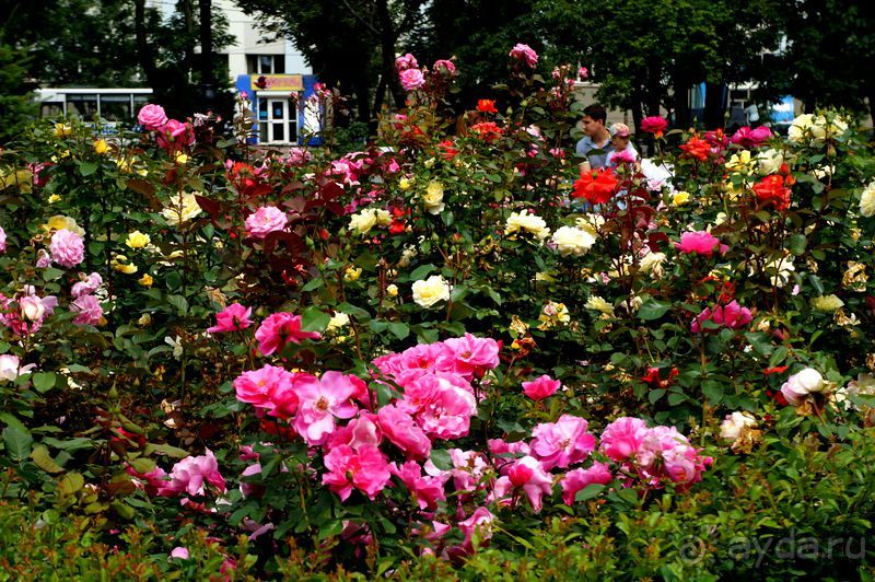 Южно -  Сахалинск  вчера  и  сегодня.