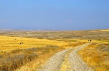 Альбом отзыва "Древняя Фригия. Сиврисихар."