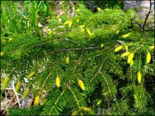 И  в  этом  есть  очарование.