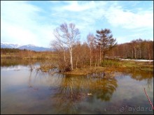 И  в  этом  есть  очарование.