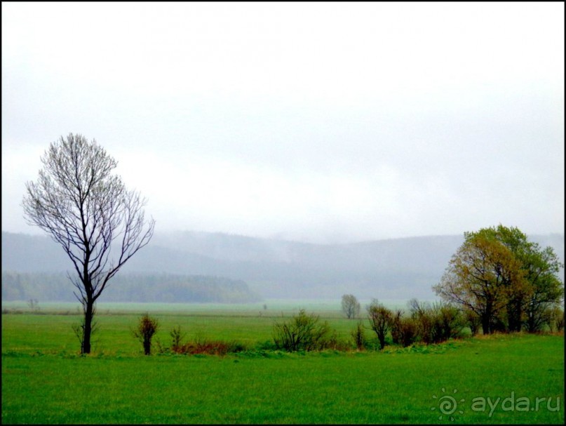 И  в  этом  есть  очарование.