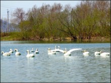 И  в  этом  есть  очарование.