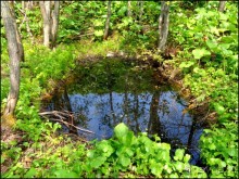 И  в  этом  есть  очарование.