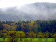 И  в  этом  есть  очарование.